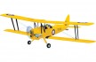 Tiger Moth