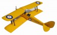 Tiger Moth