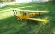 Tiger Moth