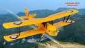 Tiger Moth