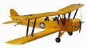 Tiger Moth