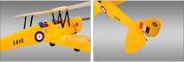 Tiger Moth