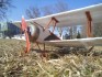 Sopwith  Classic