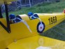 Tiger Moth