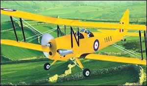 Tiger Moth