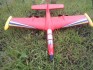 Albatrosz